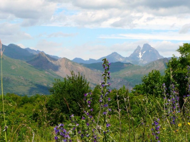 Panticosa con flores